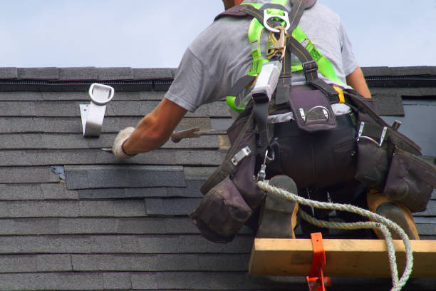 Best Roof Gutter Cleaning  in Ruhenstroth, NV