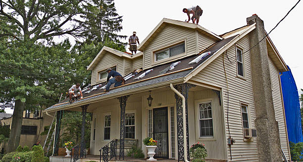 Gutter Installation and Roofing in Ruhenstroth, NV